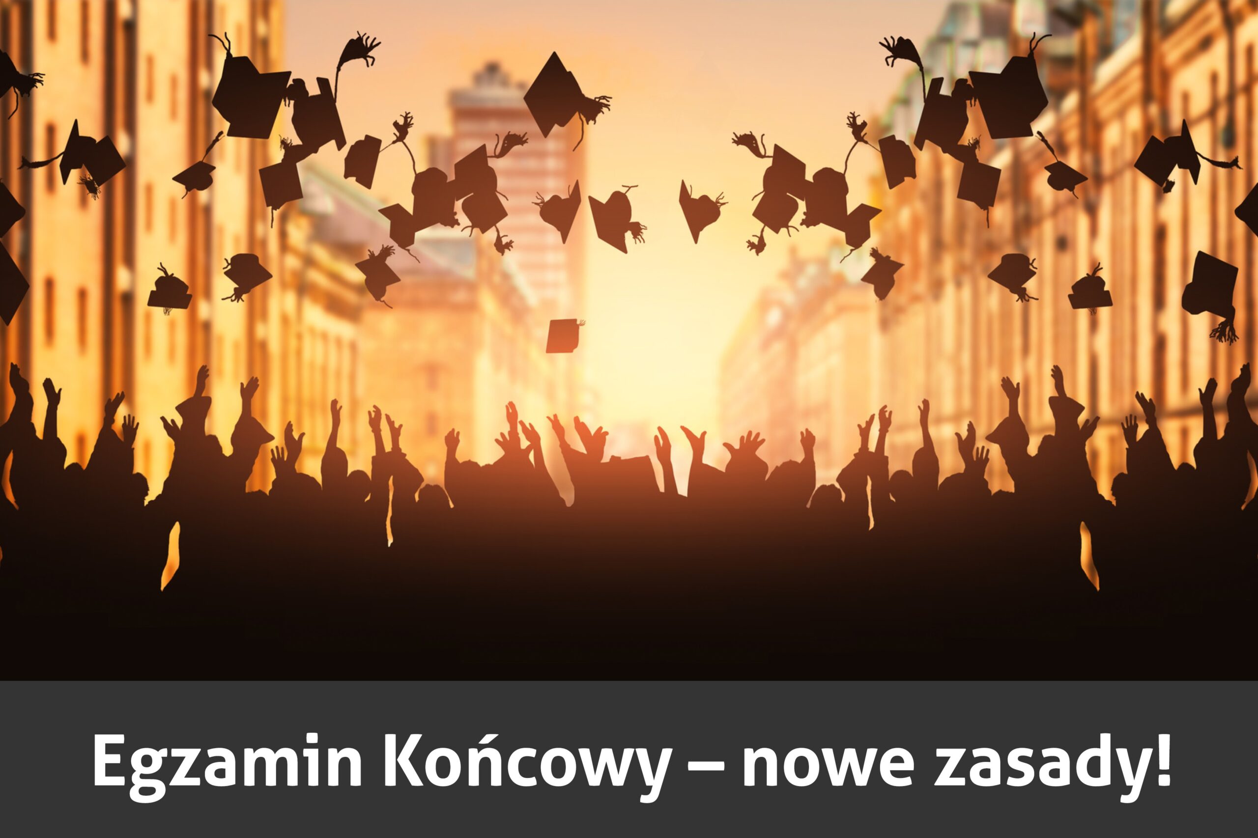 egzamin-koncowy-glowna-witryna-instytut-integralnej-psychoterapii-gestalt-szkola-psychoterapii-warsztaty-gestalt-superwizja-gestalt książka Umiejętności psychoterapeuty Gestalt